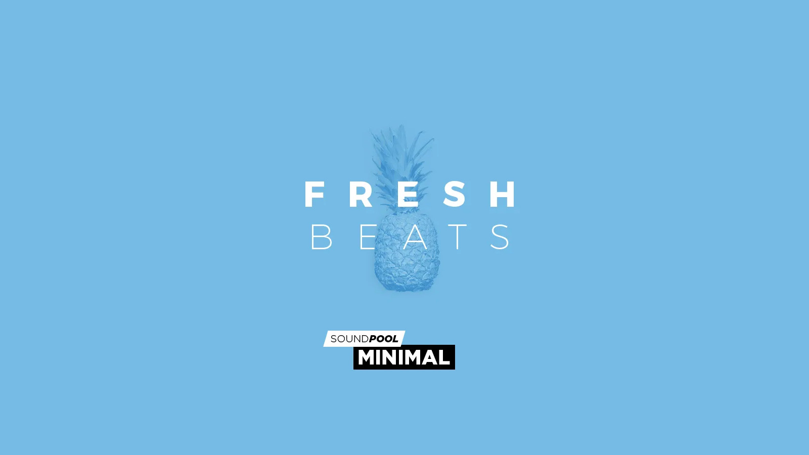 MAGIX Soundpool Fresh Beats ProducerPlanet CD Key 5.65$