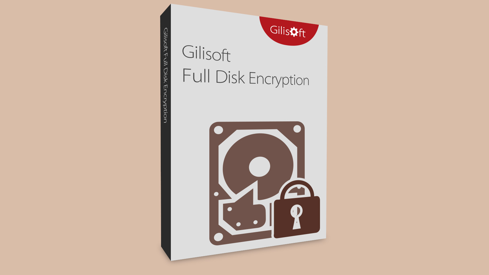 Gilisoft Full Disk Encryption CD Key 19.72$