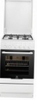 Electrolux EKG 51102 OW Kitchen Stove type of ovengas review bestseller