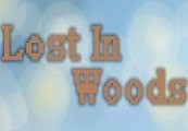 Lost in Woods 2 Steam CD Key 0.96$