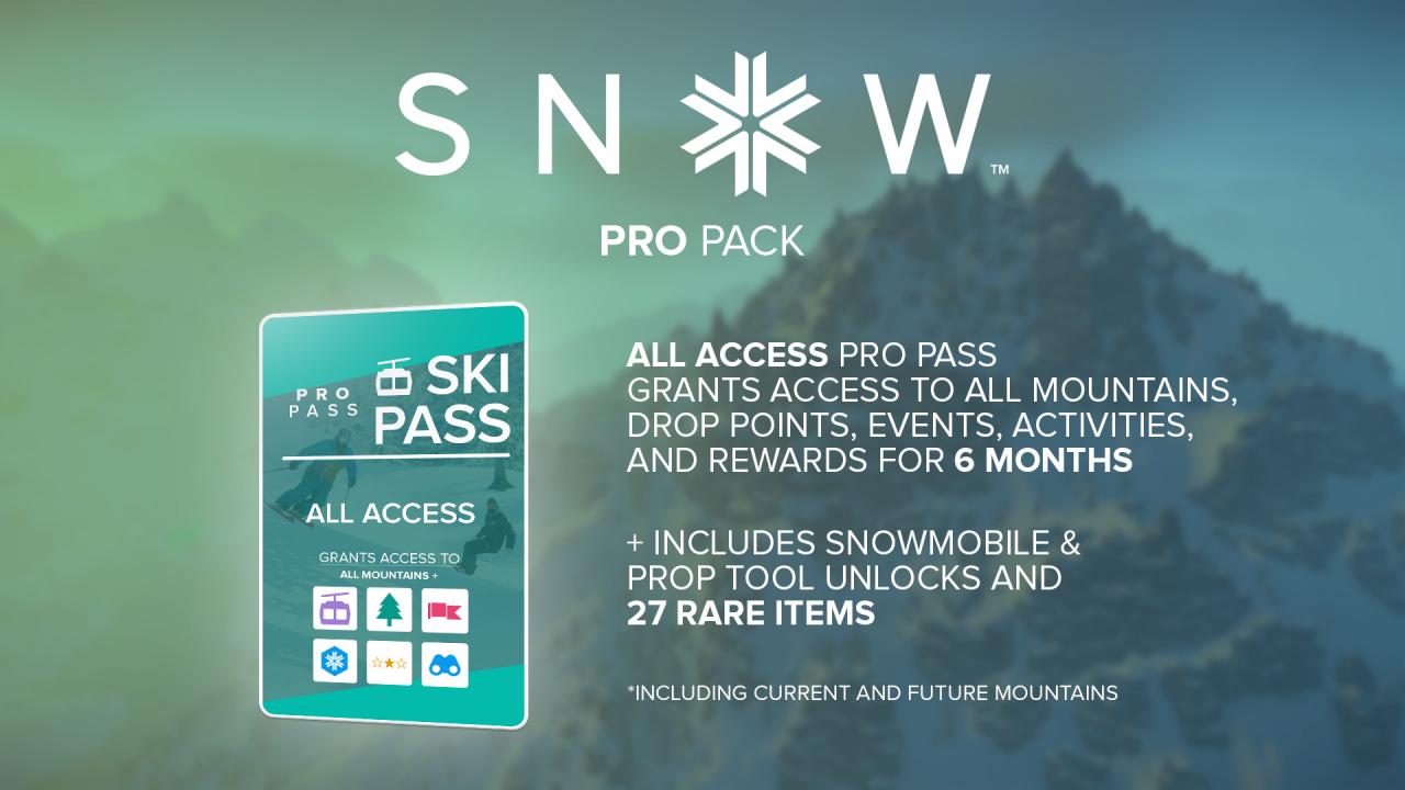 SNOW - Pro Pack DLC EU Steam CD Key 0.53$