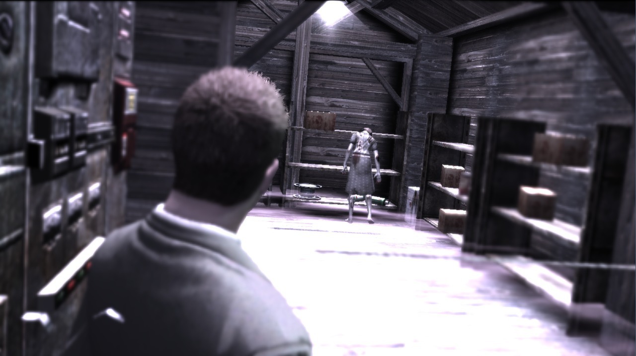 Deadly Premonition: The Director's Cut - Deluxe Edition Steam Gift 20.33$