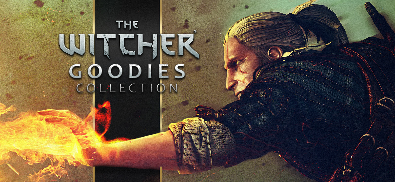 The Witcher - Goodies Collection GOG CD Key 2.54$