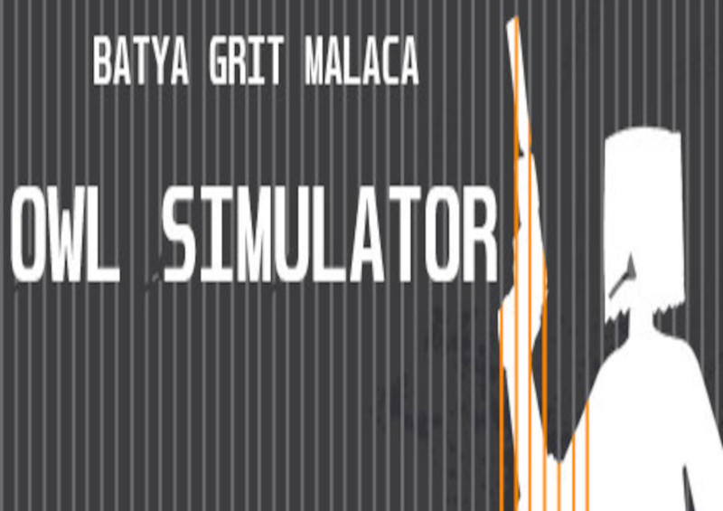 Owl Simulator Steam CD Key 0.18$